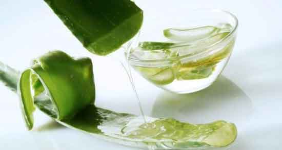 آلوورا برای پوست صورت و تاثیر استفاده از آلوورا برای درمان مشکلات پوستی آلوورا برای پوست صورت ؛ تاثیر استفاده از آلوورا برای درمان مشکلات پوستی