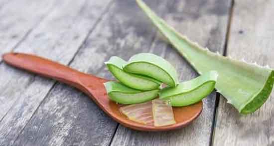 آلوورا در شیردهی ؛ تاثیر خوردن آلوورا برای شیر مادر آلوورا در شیردهی ؛ تاثیر خوردن آلوورا برای شیر مادر