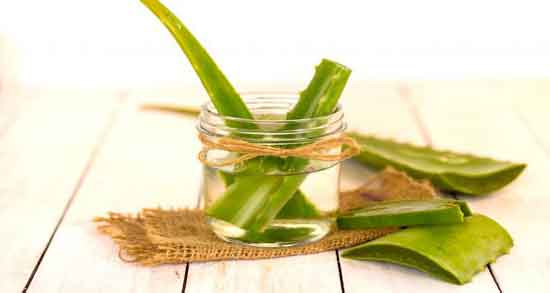 آلوورا و روغن زیتون برای مو ؛ ضخیم کردن موها با ماسک آلوورا و روغن زیتون آلوورا و روغن زیتون برای مو ؛ ضخیم کردن موها با ماسک آلوورا و روغن زیتون