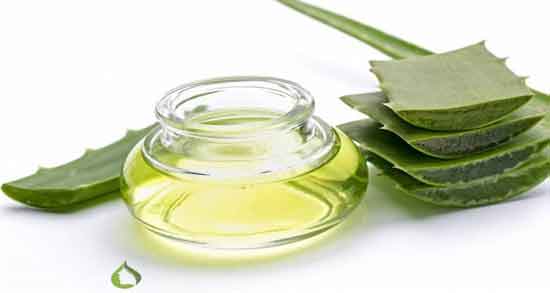 آلوورا و گلاب و مراقبت از سلامت پوست با ترکیب آلوورا و گلاب آلوورا و گلاب ؛ مراقبت از سلامت پوست با ترکیب آلوورا و گلاب