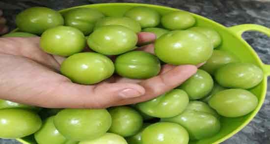 آلوچه سبز برای زنان باردار و فواید و مضرات خوردن آلوچه سبز در بارداری آلوچه سبز برای زنان باردار ؛ فواید و مضرات خوردن آلوچه سبز در بارداری