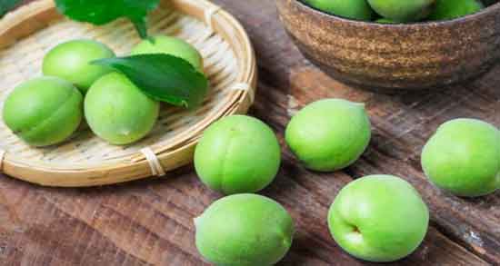 آلوچه سبز برای سگ و آیا سگ ها از طعم و مزه آلوچه سبز خوششان می آید؟ آلوچه سبز برای سگ ؛ آیا سگ ها از طعم و مزه آلوچه سبز خوششان می آید؟