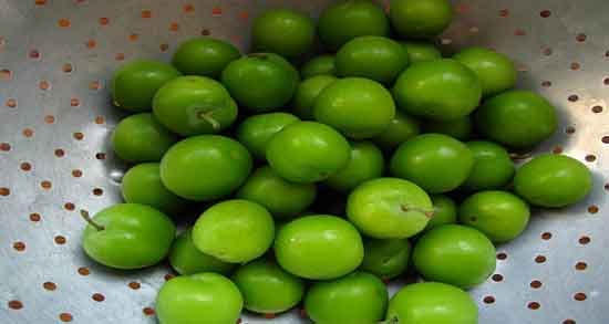 آلوچه سبز در بارداری و درمان تهوع بارداری با مصرف آلوچه سبز آلوچه سبز در بارداری ؛ درمان تهوع بارداری با مصرف آلوچه سبز