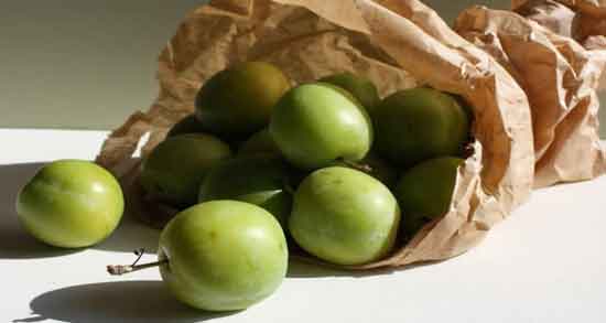 آلوچه سبز قند دارد و چه میزان قند در آلوچه سبز وجود دارد آلوچه سبز قند دارد ؛ چه میزان قند در آلوچه سبز وجود دارد