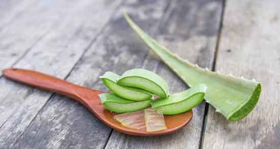 آیا آلوورا پوست را تیره میکند ؛ تاثیر مصرف آلوورا و تیرگی پوست آیا آلوورا پوست را تیره میکند ؛ تاثیر مصرف آلوورا و تیرگی پوست