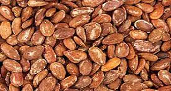 آیا تخمه ژاپنی باعث چاقی میشود؟ ؛ آیا تخمه ژاپنی چاق کننده است آیا تخمه ژاپنی باعث چاقی میشود؟ ؛ آیا تخمه ژاپنی چاق کننده است