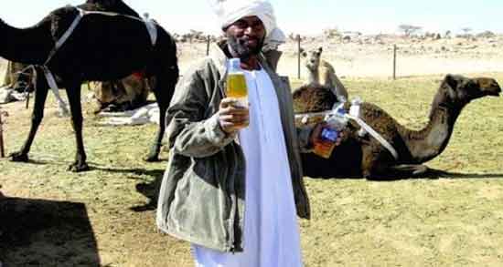 ادرار شتر برای آسم و خاصیت استفاده از ادرار شتر برای درمان آسم ادرار شتر برای آسم ؛ خاصیت استفاده از ادرار شتر برای درمان آسم