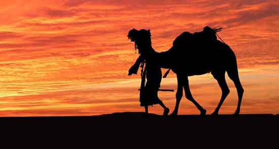 ادرار شتر در قرآن ؛ آیا در آیات قرآن به خواص ادرار شتر اشاره ای شده است؟ ادرار شتر در قرآن ؛ آیا در آیات قرآن به خواص ادرار شتر اشاره ای شده است؟