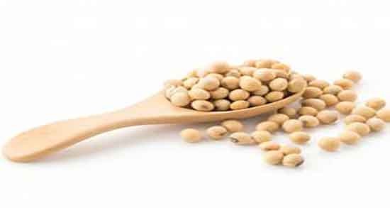 ارزش غذایی جوانه سویا ؛ میزان ارزش غذایی جوانه سویا برای اطفال ارزش غذایی جوانه سویا ؛ میزان ارزش غذایی جوانه سویا برای اطفال