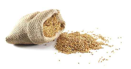 ارزن برای زخم بستر و روش استفاده از ارزن برای درمان زخم بستر ارزن برای زخم بستر ؛ روش استفاده از ارزن برای درمان زخم بستر