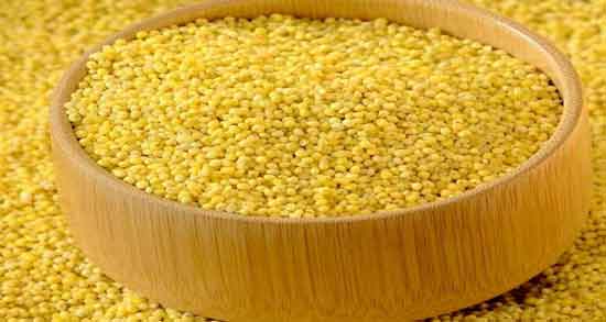 ارزن برای فنچ و ارزن به عنوان غذایی مفید برای تغذیه فنچ ارزن برای فنچ ؛ ارزن به عنوان غذایی مفید برای تغذیه فنچ