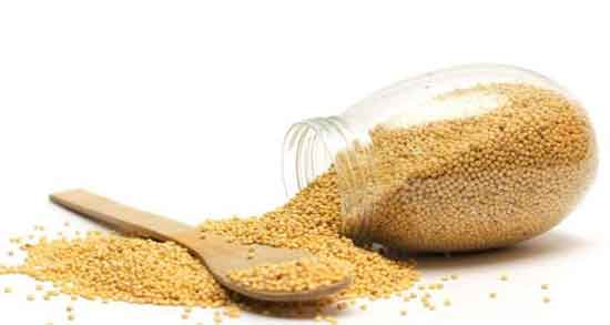 ارزن برای مرغ تخمگذار و تاثیر خوردن ارزن برای مرغ تخمگذار ارزن برای مرغ تخمگذار ؛ تاثیر خوردن ارزن برای مرغ تخمگذار