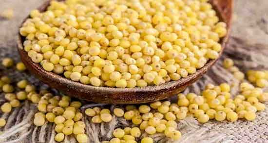 ارزن برای چی خوبه و همه چیز درباره خاصیت مصرف ارزن برای سلامتی ارزن برای چی خوبه ؛ همه چیز درباره خاصیت مصرف ارزن برای سلامتی