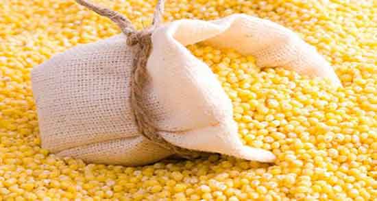 ارزن و دیابت و ارزن نقش مهمی در کاهش قند خون دارد ارزن و دیابت ؛ ارزن نقش مهمی در کاهش قند خون دارد