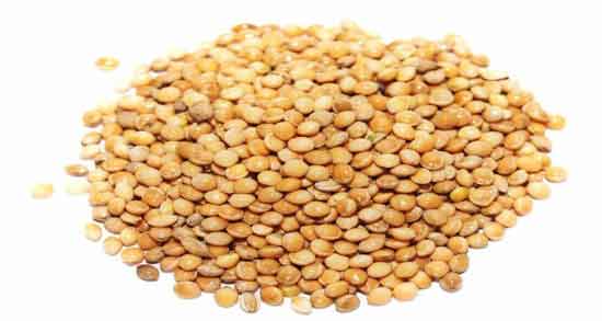 ارزن و قناری و خاصیت مصرف ارزن برای تغذیه قناری ارزن و قناری ؛ خاصیت مصرف ارزن برای تغذیه قناری