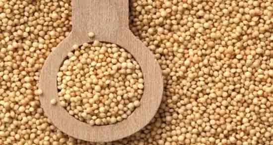 ارزن و لاغری و تاثیر استفاده از ارزن در رژیم لاغری ارزن و لاغری ؛ تاثیر استفاده از ارزن در رژیم لاغری