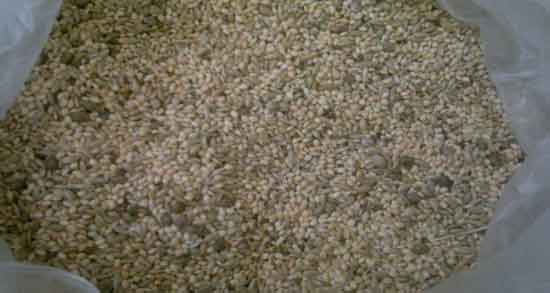 ارزن و کتان برای عروس هلندی و ارزش غذایی ارزن و کتان برای سلامت عروس هلندی ارزن و کتان برای عروس هلندی ؛ ارزش غذایی ارزن و کتان برای سلامت عروس هلندی