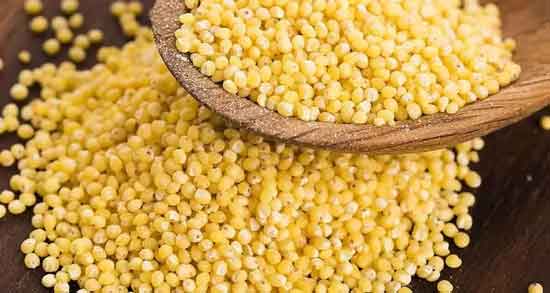 ارزن چیست و آشنایی کامل با ارزن و خواصی که برای سلامتی دارد ارزن چیست ؛ آشنایی کامل با ارزن و خواصی که برای سلامتی دارد