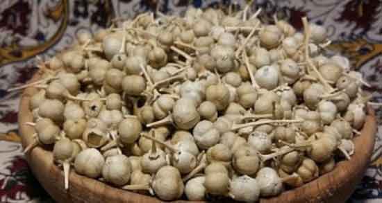 اسپند در بارداری و بررسی اثرات اسپند در دوران بارداری اسپند در بارداری ؛ بررسی اثرات اسپند در دوران بارداری