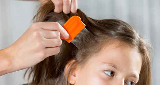 اسپند در درمان شپش و روش استفاده از اسپند برای درمان شپش موی سر اسپند در درمان شپش ؛ روش استفاده از اسپند برای درمان شپش موی سر