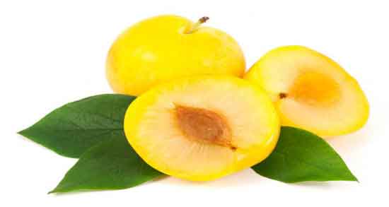 انواع آلو زرد و چند نوع آلو زرد وجود دارد؟ انواع آلو زرد ؛ چند نوع آلو زرد وجود دارد؟