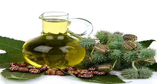 اکالیپتوس و گرفتگی بینی و درمان گرفتگی بینی با مصرف اکالیپتوس اکالیپتوس و گرفتگی بینی ؛ درمان گرفتگی بینی با مصرف اکالیپتوس