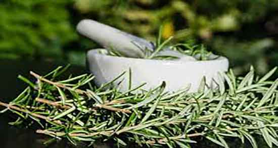 اکلیل کوهی برای دیسک کمر و درمان درد کمر با مصرف اکلیل کوهی اکلیل کوهی برای دیسک کمر ؛ درمان درد کمر با مصرف اکلیل کوهی