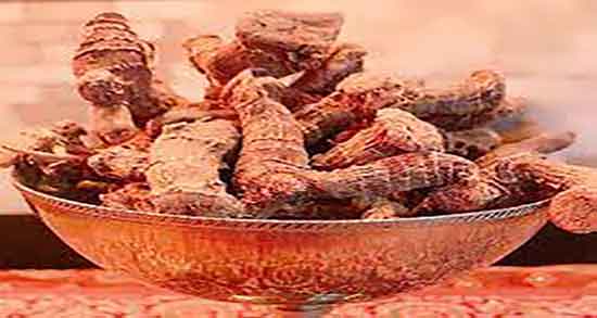 اگیر ترکی در ایران و خاصیت اگیر ترکی ایرانی برای روشنایی پوست اگیر ترکی در ایران ؛ خاصیت اگیر ترکی ایرانی برای روشنایی پوست