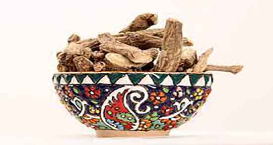 اگیر ترکی در طب سنتی و طبع گیاه اگیر ترکی از نظر طب سنتی اگیر ترکی در طب سنتی ؛ طبع گیاه اگیر ترکی از نظر طب سنتی