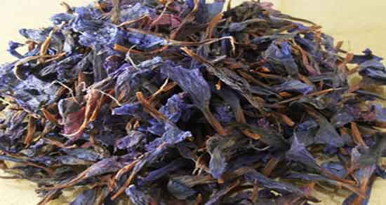 ایا گل گاوزبان فشار خون را پایین می اورد ؛ اثرات خوردن گل گاوزبان برای کاهش فشار خون ایا گل گاوزبان فشار خون را پایین می اورد ؛ اثرات خوردن گل گاوزبان برای کاهش فشار خون