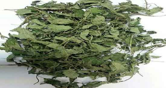 بادرنجبویه در طب سنتی و مصرف بادرنجبویه از نظر طب سنتی چیست بادرنجبویه در طب سنتی ؛ مصرف بادرنجبویه از نظر طب سنتی چیست