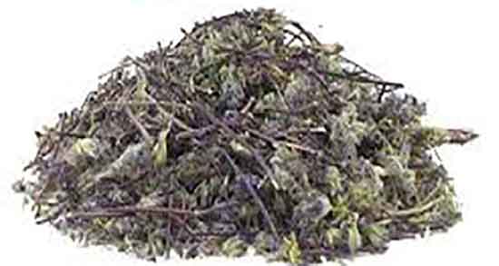 بادرنجبویه و خواص آن ؛ خاصیت ضد سرطانی گیاه بادرنجبویه برای بدن بادرنجبویه و خواص آن ؛ خاصیت ضد سرطانی گیاه بادرنجبویه برای بدن