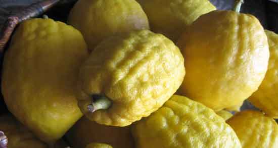 بالنگ برای یبوست و پیشگیری و درمان یبوست با خوردن بالنگ بالنگ برای یبوست ؛ پیشگیری و درمان یبوست با خوردن بالنگ