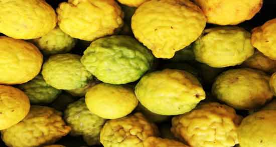 بالنگ و ترنج و درمان افسردگی با مصرف بالنگ و ترنج بالنگ و ترنج ؛ درمان افسردگی با مصرف بالنگ و ترنج