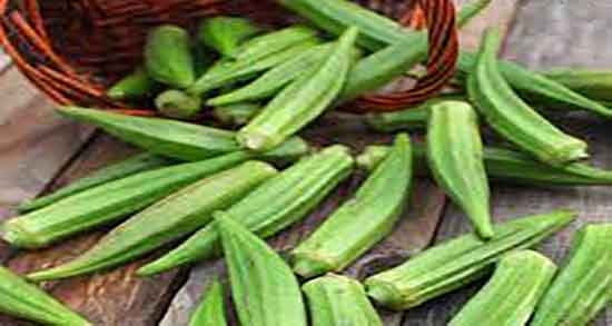 بامیه برای نوزاد هشت ماهه و خاصیت بامیه برای رشد نوزادان و کودکان بامیه برای نوزاد هشت ماهه ؛ خاصیت بامیه برای رشد نوزادان و کودکان