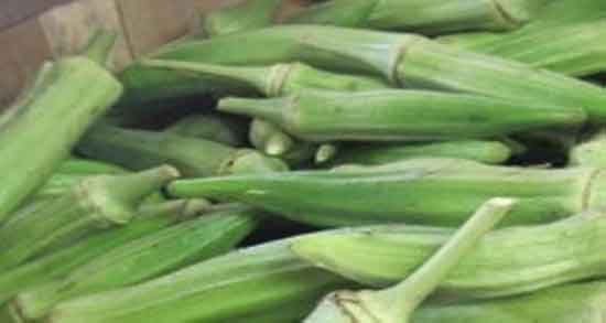 بامیه برای نوزاد و خوردن بامیه برای نوزادان هشت ماهه مفید است بامیه برای نوزاد ؛ خوردن بامیه برای نوزادان هشت ماهه مفید است