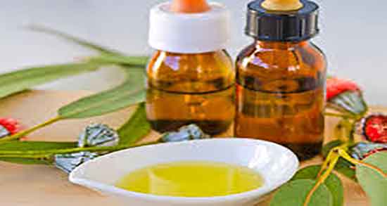 بخور اکالیپتوس برای سرفه خشک و قطره اکالیپتوس در دستگاه بخور گرم بخور اکالیپتوس برای سرفه خشک ؛ قطره اکالیپتوس در دستگاه بخور گرم