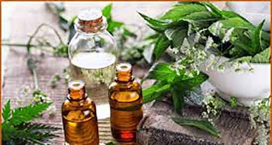 بخور اکالیپتوس برای گرفتگی بینی و بخور اکالیپتوس برای سرفه خشک بخور اکالیپتوس برای گرفتگی بینی ؛ بخور اکالیپتوس برای سرفه خشک