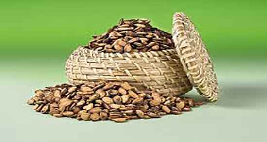 تخمه هندوانه برای کبد چرب ؛ تخمه هندوانه برای کبد چرب مضر است؟ تخمه هندوانه برای کبد چرب ؛ تخمه هندوانه برای کبد چرب مضر است؟