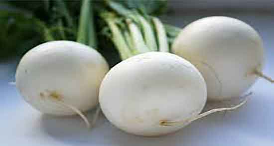 ترب برای معده و درمان نفخ معده با خوردن ترب سفید با وعده غذایی ترب برای معده ؛ درمان نفخ معده با خوردن ترب سفید با وعده غذایی