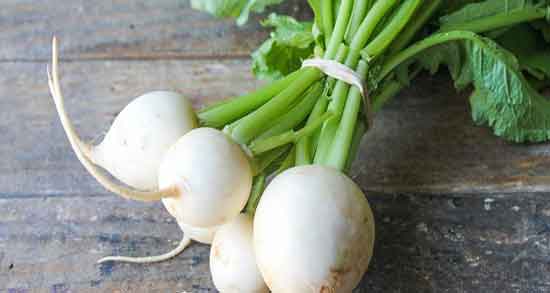 ترب سفید برای کیست تخمدان ؛ خوردن اب ترب سفید برای کیست تخمدان ترب سفید برای کیست تخمدان ؛ خوردن اب ترب سفید برای کیست تخمدان