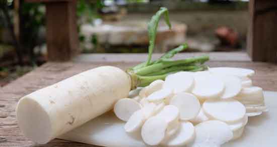 ترب سفید و سرماخوردگی ؛ ایا ترب سفید برای سرماخوردگی مفیده ترب سفید و سرماخوردگی ؛ ایا ترب سفید برای سرماخوردگی مفیده