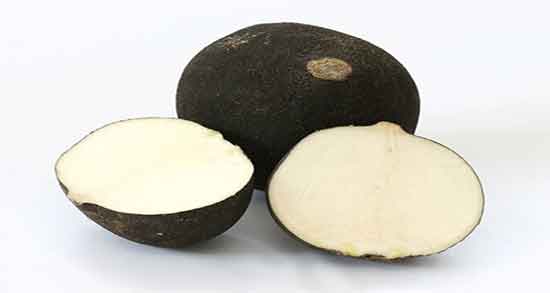 ترب سیاه برای سرماخوردگی و ایا اب ترب سیاه برای گلو درد خوب است ترب سیاه برای سرماخوردگی ؛ ایا اب ترب سیاه برای گلو درد خوب است