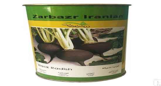 ترب سیاه در طب سنتی و طبع ترب سیاه برای بدن در طب سنتی ترب سیاه در طب سنتی ؛ طبع ترب سیاه برای بدن در طب سنتی