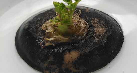 ترب سیاه را چگونه مصرف کنیم و خواص مصرف ترب سیاه برای بدن ترب سیاه را چگونه مصرف کنیم ؛ خواص مصرف ترب سیاه برای بدن