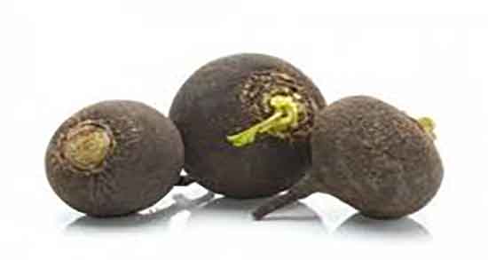 ترب سیاه و خواص آن و فواید مصرف ترب سیاه برای درمان پروستات ترب سیاه و خواص آن ؛ فواید مصرف ترب سیاه برای درمان پروستات