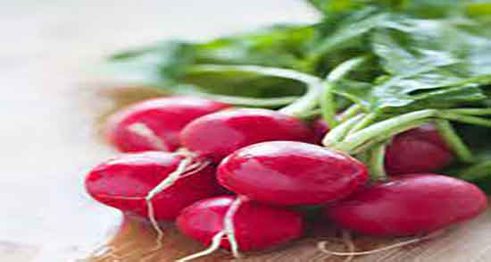 ترب و سنگ کلیه و خاصیت اب ترب برای درمان سنگ کلیه چیست ترب و سنگ کلیه ؛ خاصیت اب ترب برای درمان سنگ کلیه چیست