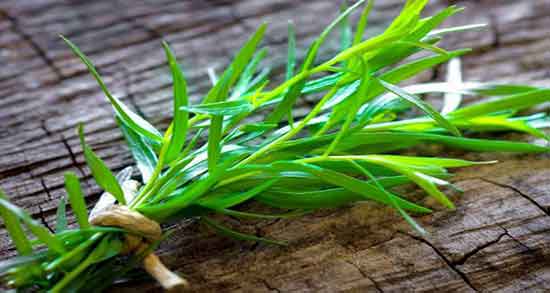 ترخون و دیابت ؛ ایا مصرف ترخون خشک برای کنترل قند خون مفید است ترخون و دیابت ؛ ایا مصرف ترخون خشک برای کنترل قند خون مفید است