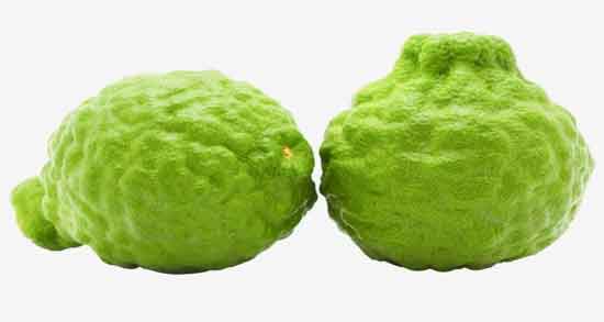 ترنج برای زن باردار و خواص و مضرات استفاده از ترنج برای بارداری ترنج برای زن باردار ؛ خواص و مضرات استفاده از ترنج برای بارداری