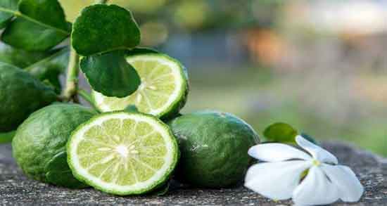 ترنج برای سوختگی نوزاد و روش استفاده از ترنج برای درمان سوختگی نوزاد ترنج برای سوختگی نوزاد ؛ روش استفاده از ترنج برای درمان سوختگی نوزاد